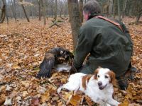 2011-Landesbeizjagd-2.JPG