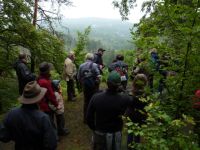 2011-Sommerfest-2.JPG