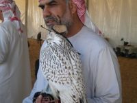 Abu-Dhabi-1.jpg