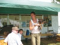 2008-Sommerfest-2.jpg
